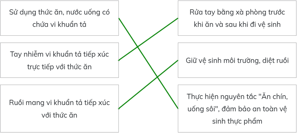 Trắc nghiệm Khoa học lớp 5 Cánh diều Bài 12 (có đáp án): Vi khuẩn và vi khuẩn gây bệnh ở người (ảnh 19)
