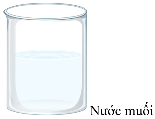 Trắc nghiệm Khoa học lớp 5 Cánh diều Bài 2 (có đáp án): Hỗn hợp và dung dịch (ảnh 4)