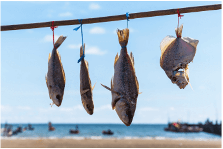 Trắc nghiệm Khoa học lớp 5 Cánh diều Bài 6 (có đáp án): Năng lượng mặt trời, năng lượng gió và năng lượng nước chảy (ảnh 1)