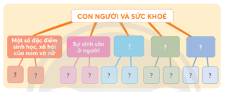 Khoa học lớp 5 Chân trời sáng tạo Bài 27: Ôn tập chủ đề Con người và sức kho