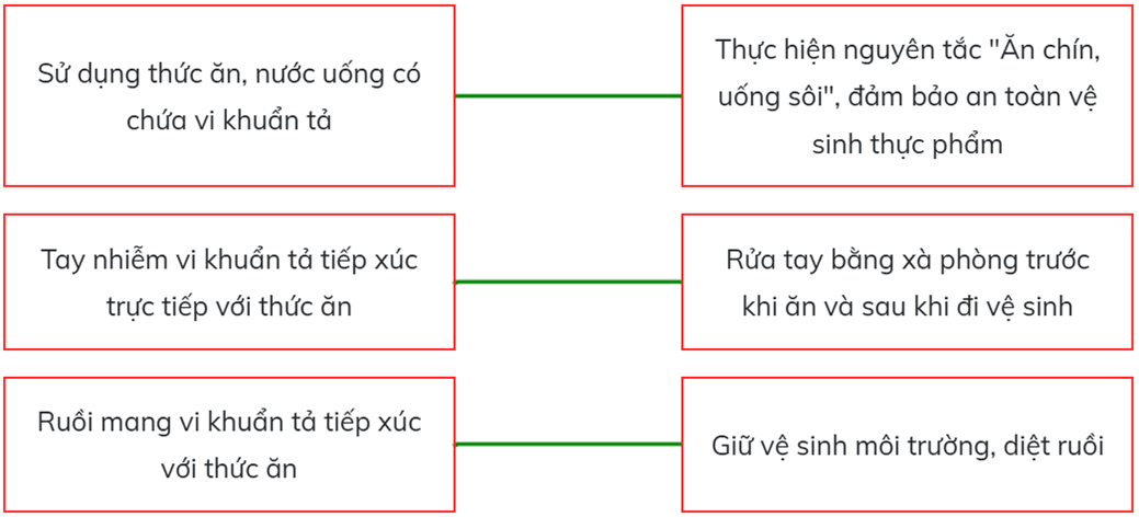 Trắc nghiệm Khoa học lớp 5 Chân trời sáng tạo Bài 20 (có đáp án): Một số bệnh ở người do vi khuẩn gây ra