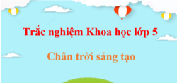500 Câu hỏi trắc nghiệm Khoa học lớp 5 Chân trời sáng tạo (có đáp án) | Trắc nghiệm Khoa học lớp 5
