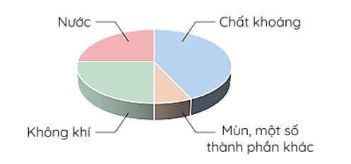  (Kết nối tri thức) Trắc nghiệm Khoa học lớp 5 Bài 1 (có đáp án): Thành phần và vai trò của đất đối với cây trồng