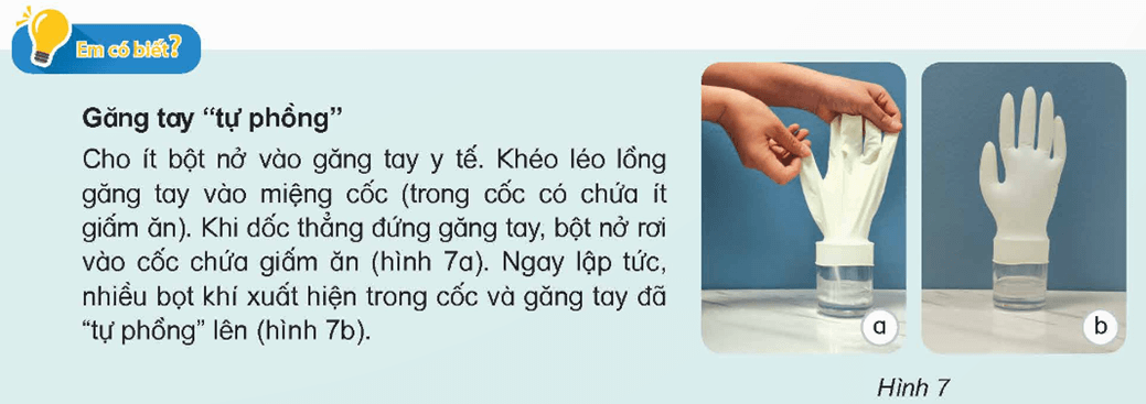 Trắc nghiệm Khoa học lớp 5 Kết nối tri thức Bài 5 (có đáp án): Sự biến đổi hoá học của chất