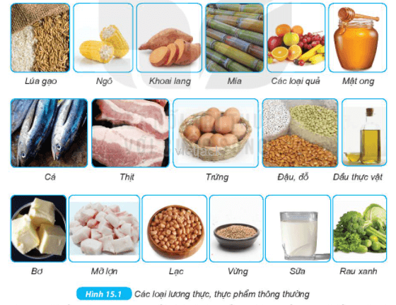 Hãy kể tên các lương thực có trong hình 15.1 và một số thức ăn (ảnh 1)