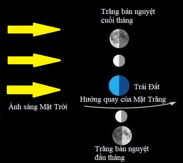 Vẽ một sơ đồ cho thấy vị trí của Mặt Trời, Mặt Trăng và Trái Đất (ảnh 1)