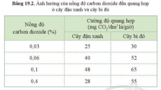 So sánh cường độ quang hợp của cây đậu xanh và cây bí đỏ ở cùng một hàm lượng carbon dioxide