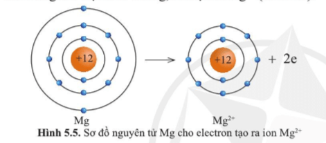 Quan sát hình , hãy so sánh về số electron, số lớp electron giữa nguyên  tử Mg