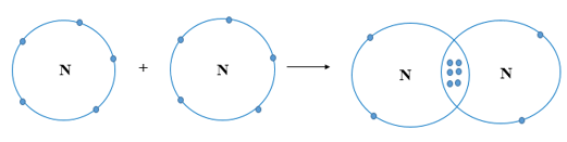 Hai nguyên tử N kết hợp với nhau tạo thành phân tử nitrogen. Hãy vẽ sơ đồ tạo thành liên kết
