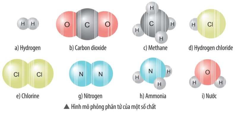 Quan sát hình mô phỏng các phân tử sau, cho biết chất nào là đơn chất, chất nào là hợp chất?