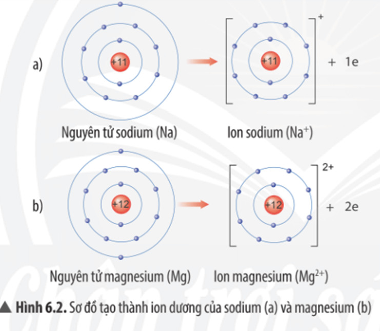 Tạo thành ion natri và magie có thể là một thử thách khó khăn với những ai không có kiến thức sẵn có về hóa học. Tuy nhiên, hình ảnh về quá trình tạo thành ion natri và magie sẽ giúp bạn hiểu rõ hơn về quá trình hoá học này thông qua các phản ứng và phương trình hoá học liên quan.