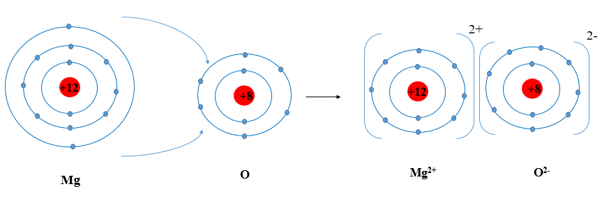 Hãy vẽ sơ đồ và mô tả quá trình tạo thành liên kết ion trong phân tử hợp chất magnesium oxide