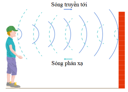 Lý thuyết KHTN 7 Kết nối tri thức Bài 14: Phản xạ âm, chống ô nhiễm tiếng ồn
