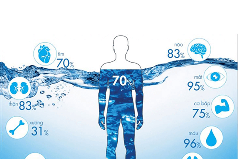 Lý thuyết KHTN 7 Kết nối tri thức Bài 29: Vai trò của nước và chất dinh dưỡng đối với sinh vật