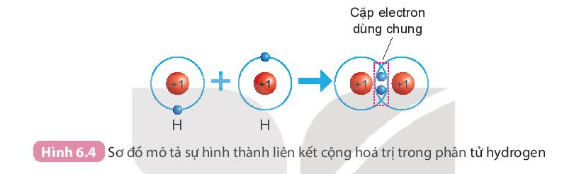 Lý thuyết KHTN 7 Kết nối tri thức Bài 6: Giới thiệu về liên kết hóa học