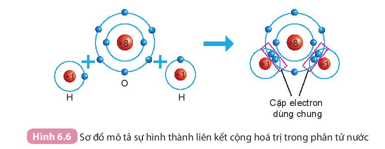 Lý thuyết KHTN 7 Kết nối tri thức Bài 6: Giới thiệu về liên kết hóa học