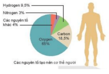 Oxygen, carbon, hydrogen, nitrogen, … là các nguyên tố hóa học tạo nên cơ thể người (ảnh 1)