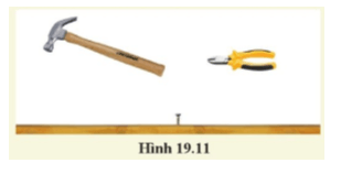 Để nhổ một chiếc đinh ra khỏi tấm gỗ người ta sử dụng một chiếc búa nhổ đinh hoặc một chiếc kìm