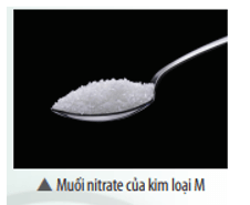 (X) là muối nitrate của kim loại M Ở điều kiện thường, (X) là chất rắn