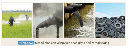 Đọc thông tin và quan sát Hình 47.2 chỉ ra một số nguyên nhân gây ô nhiễm môi trường 