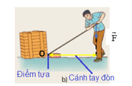 Xác định điểm tựa, cánh tay đòn trong các trường hợp ở Hình 19.2