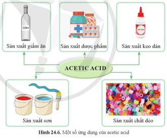 Dựa vào hình 24.6, nêu một số ứng dụng của acetic acid