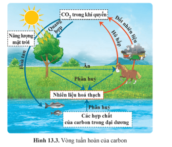 Lý thuyết KHTN 9 Cánh diều Bài 13: Sử dụng năng lượng