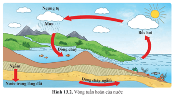 Lý thuyết KHTN 9 Cánh diều Bài 13: Sử dụng năng lượng