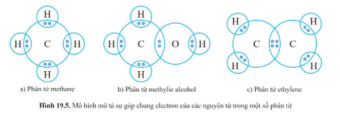 Lý thuyết KHTN 9 Cánh diều Bài 19: Giới thiệu về chất hữu cơ