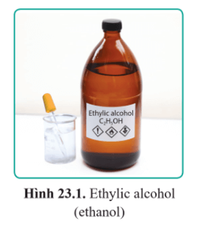 Lý thuyết KHTN 9 Cánh diều Bài 23: Ethylic alcohol