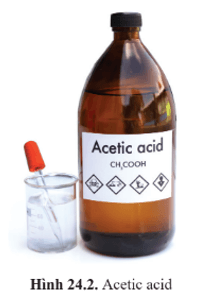 Lý thuyết KHTN 9 Cánh diều Bài 24: Acetic acid