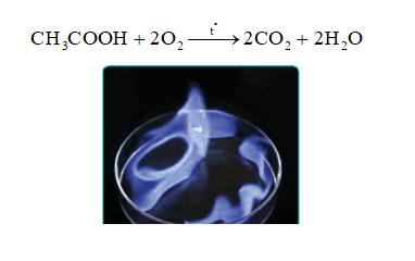 Lý thuyết KHTN 9 Cánh diều Bài 24: Acetic acid