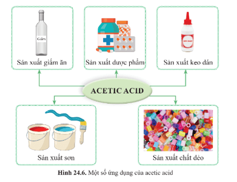 Lý thuyết KHTN 9 Cánh diều Bài 24: Acetic acid