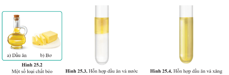 Lý thuyết KHTN 9 Cánh diều Bài 25: Lipid và chất béo