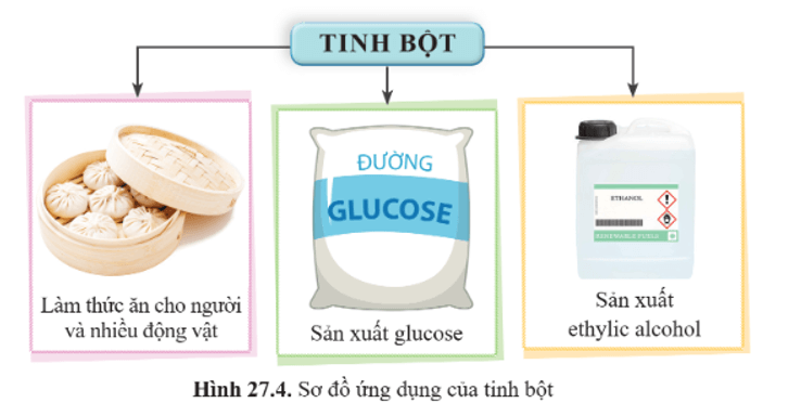 Lý thuyết KHTN 9 Cánh diều Bài 27: Tinh bột và cellulose