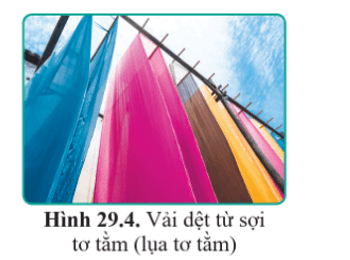 Lý thuyết KHTN 9 Cánh diều Bài 29: Polymer