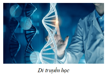 Lý thuyết KHTN 9 Cánh diều Bài 33: Gene là trung tâm của di truyền học