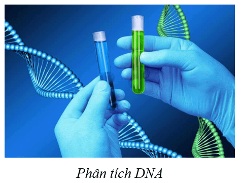 Lý thuyết KHTN 9 Cánh diều Bài 33: Gene là trung tâm của di truyền học