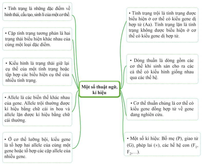 Lý thuyết KHTN 9 Cánh diều Bài 38: Quy luật di truyền của Mendel