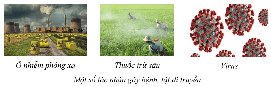 Lý thuyết KHTN 9 Cánh diều Bài 40: Di truyền học người