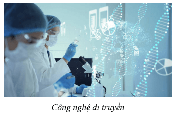 Lý thuyết KHTN 9 Cánh diều Bài 41: Ứng dụng công nghệ di truyền vào đời sống