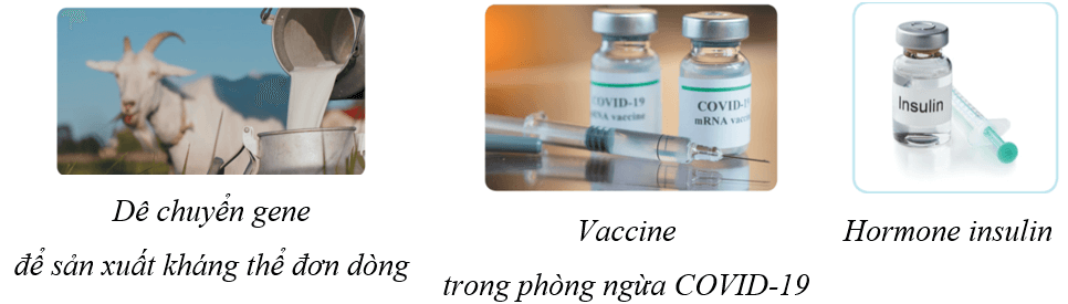 Lý thuyết KHTN 9 Cánh diều Bài 41: Ứng dụng công nghệ di truyền vào đời sống