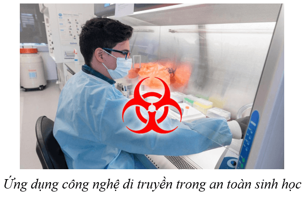 Lý thuyết KHTN 9 Cánh diều Bài 41: Ứng dụng công nghệ di truyền vào đời sống