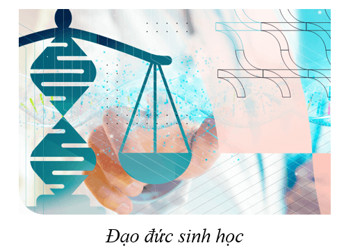 Lý thuyết KHTN 9 Cánh diều Bài 41: Ứng dụng công nghệ di truyền vào đời sống
