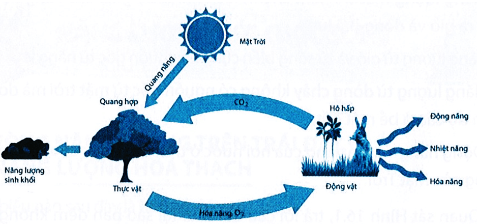 Trắc nghiệm KHTN 9 Cánh diều Bài 13 (có đáp án): Sử dụng năng lượng | Khoa học tự nhiên 9