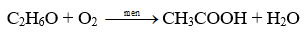 Trắc nghiệm KHTN 9 Cánh diều Bài 24 (có đáp án): Acetic acid | Khoa học tự nhiên 9