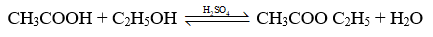 Trắc nghiệm KHTN 9 Cánh diều Bài 24 (có đáp án): Acetic acid | Khoa học tự nhiên 9