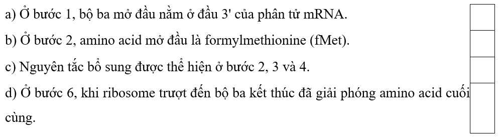 Trắc nghiệm KHTN 9 Cánh diều Bài 34 (có đáp án): Từ gene đến tính trạng | Khoa học tự nhiên 9