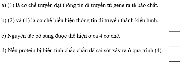 Trắc nghiệm KHTN 9 Cánh diều Bài 34 (có đáp án): Từ gene đến tính trạng | Khoa học tự nhiên 9