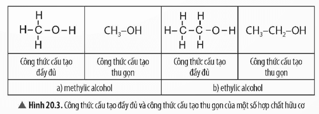 Lý thuyết KHTN 9 Chân trời sáng tạo Bài 20: Giới thiệu về hợp chất hữu cơ